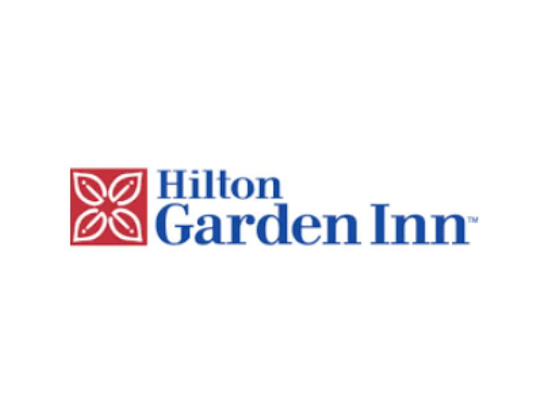 Airport: Hilton Garden Inn Sarasota-Bradenton Airport Background