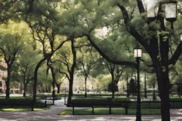 Best Places to Take Pictures around Dallas, TX