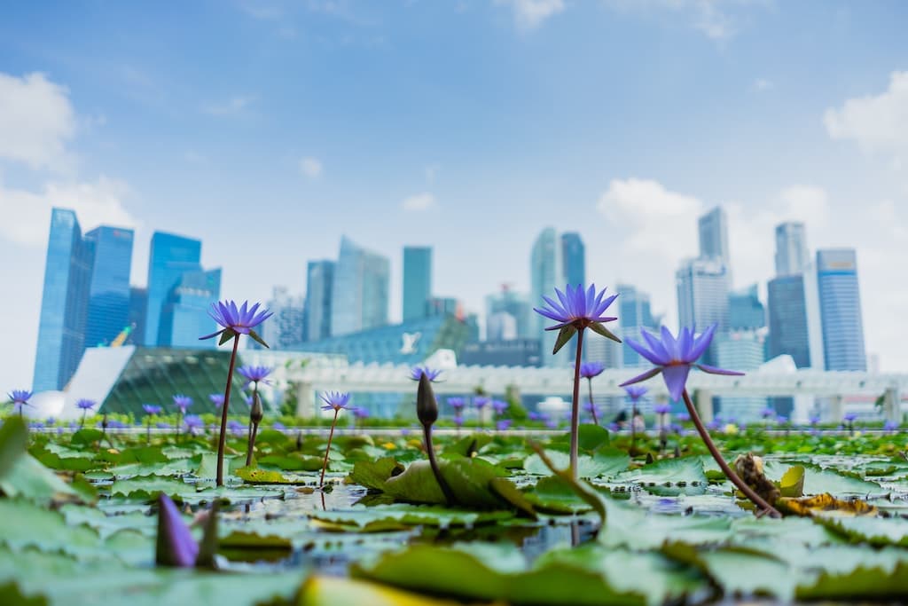 Singapore Travel Guide