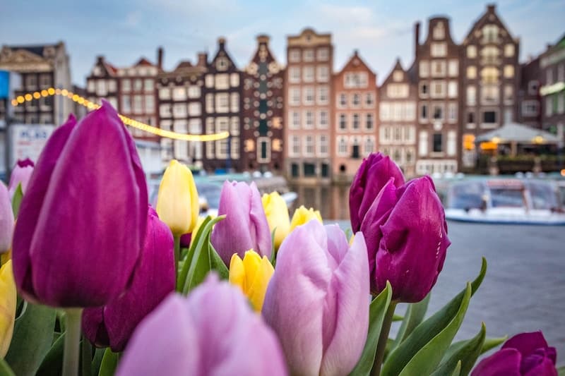 Amsterdam Travel Guide