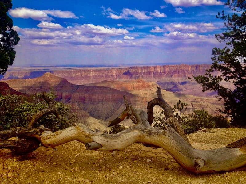 Grand Canyon Travel Guide